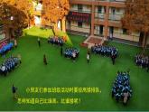 （2024）青岛版科学一年级上册（8）比一比PPT课件