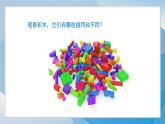 （2024）青岛版科学一年级上册（8）比一比PPT课件