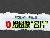 （2024）青岛版科学一年级上册（9）给树做名片PPT课件