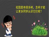 （2024）青岛版科学一年级上册（9）给树做名片PPT课件