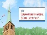 （2024）青岛版科学一年级上册（9）给树做名片PPT课件
