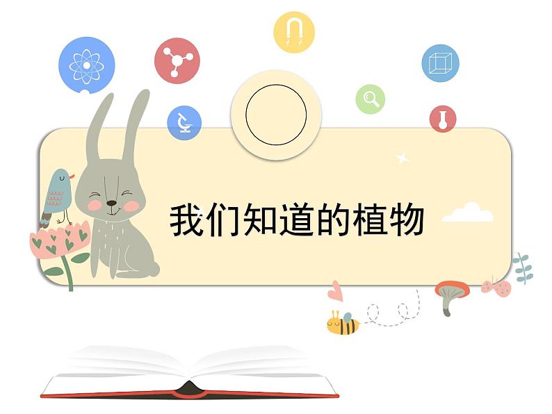 教科版科学一上1.1《我们知道的植物》教学设计+课件04