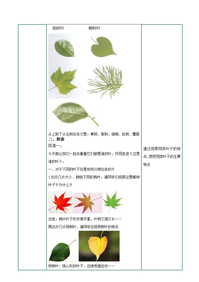 教科版科学一上1.4《这是谁的叶》教学设计+课件+素材02