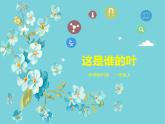 教科版科学一上1.4《这是谁的叶》教学设计+课件+素材