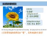 2024新教科版一年級科學(xué)上冊第一單元1.4《給植物畫張“像”》課件