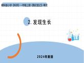 2024新教科版一年級科學上冊第二單元2.2《發(fā)現(xiàn)生長》課件