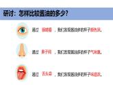 2024新教科版一年級(jí)科學(xué)上冊(cè)第二單元2.6《觀察與比較》課件