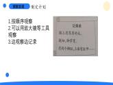 大象版（2017秋）科學(xué)二年級(jí)上冊(cè) 準(zhǔn)備單元這是誰(shuí)的腳（課件+教案）