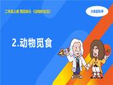 大象版（2017秋）科学二年级上册 4.2 动物觅食（课件+教案）