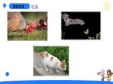 大象版（2017秋）科学二年级上册 4.2 动物觅食（课件+教案）