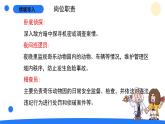 大象版（2017秋）科学二年级上册 4.3 动物小侦探（课件+教案）