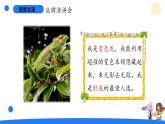 大象版（2017秋）科学二年级上册 4.3 动物小侦探（课件+教案）