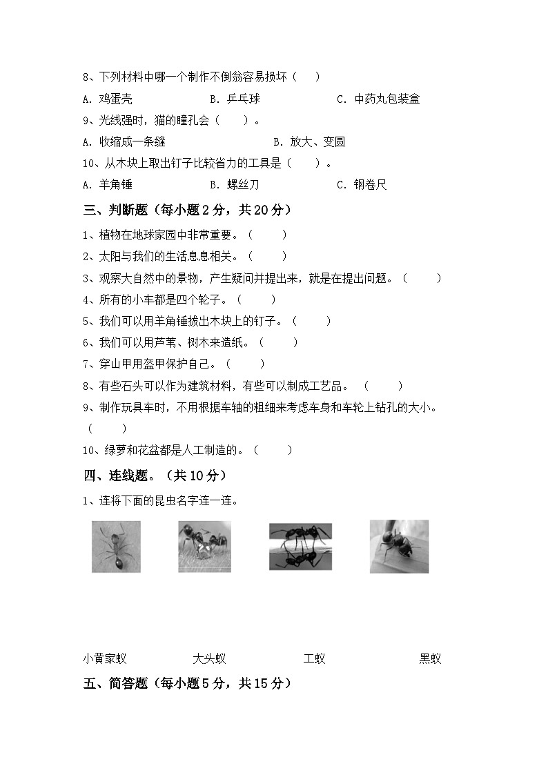 期末试卷（试题）2024-2025学年二年级上册科学青岛版02