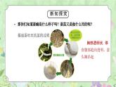 教科版三年级科学下册第二单元《动物的一生-蚕变了新模样》PPT课件