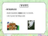 教科版三年级科学下册第二单元《动物的一生-动物的繁殖》PPT课件
