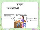 教科版三年级科学下册第二单元《动物的一生-动物的一生》PPT课件