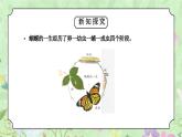 教科版三年级科学下册第二单元《动物的一生-动物的一生》PPT课件