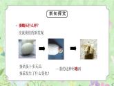 教科版三年级科学下册第二单元《动物的一生-茧中钻出了蚕蛾》PPT课件
