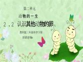 教科版三年级科学下册第二单元《动物的一生-认识其他动物的卵》PPT课件