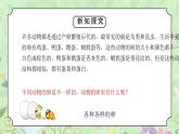 教科版三年级科学下册第二单元《动物的一生-认识其他动物的卵》PPT课件