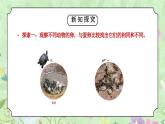 教科版三年级科学下册第二单元《动物的一生-认识其他动物的卵》PPT课件
