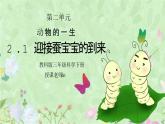 教科版三年级科学下册第二单元《动物的一生-迎接蚕宝宝的到来》PPT课件