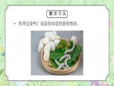 教科版三年级科学下册第二单元《动物的一生-迎接蚕宝宝的到来》PPT课件