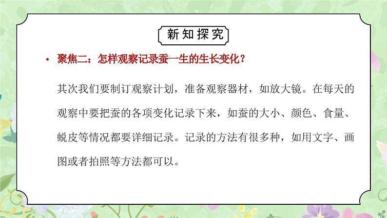 教科版三年级科学下册第二单元《动物的一生-迎接蚕宝宝的到来》PPT课件05