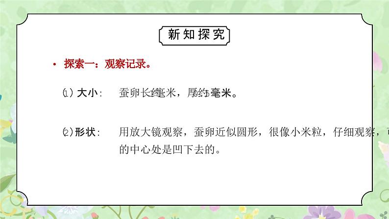 教科版三年级科学下册第二单元《动物的一生-迎接蚕宝宝的到来》PPT课件07