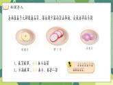苏教版（2024）一年级上册科学第二单元 第3课时感官总动员 课件
