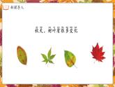苏教版（2024）一年级上册科学第三单元 第3课时探究秋叶的秘密 课件