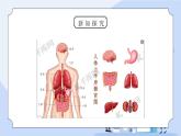 教科版四年级科学上册第四单元《我们的身体-身体的结构》PPT课件