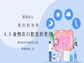 教科版四年级科学上册第四单元《我们的身体-食物在口腔里的变化》PPT课件