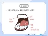 教科版四年级科学上册第四单元《我们的身体-食物在口腔里的变化》PPT课件