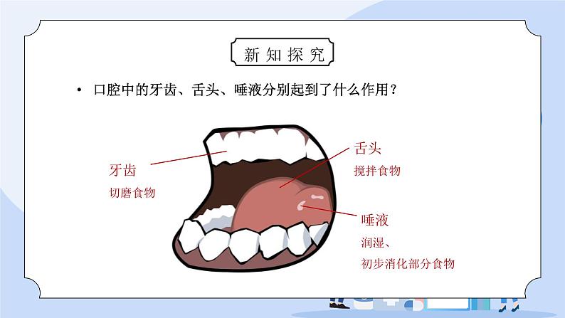 教科版四年级科学上册第四单元《我们的身体-食物在口腔里的变化》PPT课件第5页