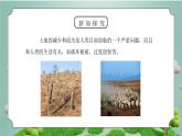 教科版五年级科学上册第三单元《地球表面及其变化-减少对土地的侵蚀》PPT课件