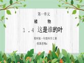 教科版一年级科学上册第一单元《植物-这是谁的叶》PPT课件