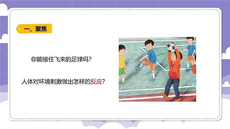 3.14 测试我们的反应（课件）-2024-2025学年六年级上册科学粤教粤科版第2页