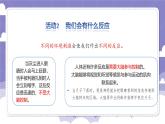 3.14 测试我们的反应（课件）-2024-2025学年六年级上册科学粤教粤科版