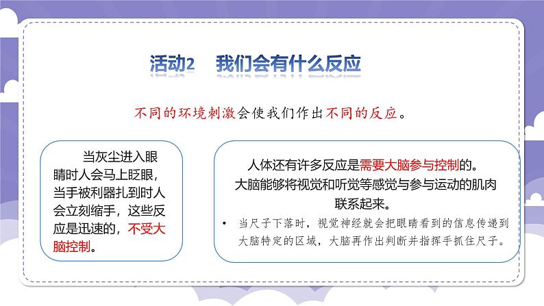 3.14 测试我们的反应（课件）-2024-2025学年六年级上册科学粤教粤科版第5页