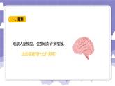 3.15 大脑的作用（课件）-2024-2025学年六年级上册科学粤教粤科版