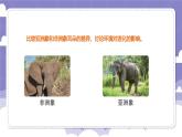 4.22 环境变化与生物进化（课件）-2024-2025学年六年级上册科学粤教粤科版