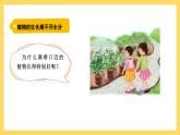 1.1 植物需要水分（课件）-2024-2025学年五年级上册科学粤教粤科版