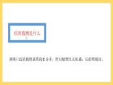 1.1 植物需要水分（课件）-2024-2025学年五年级上册科学粤教粤科版