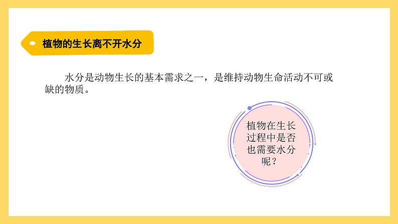 1.1 植物需要水分（课件）-2024-2025学年五年级上册科学粤教粤科版04