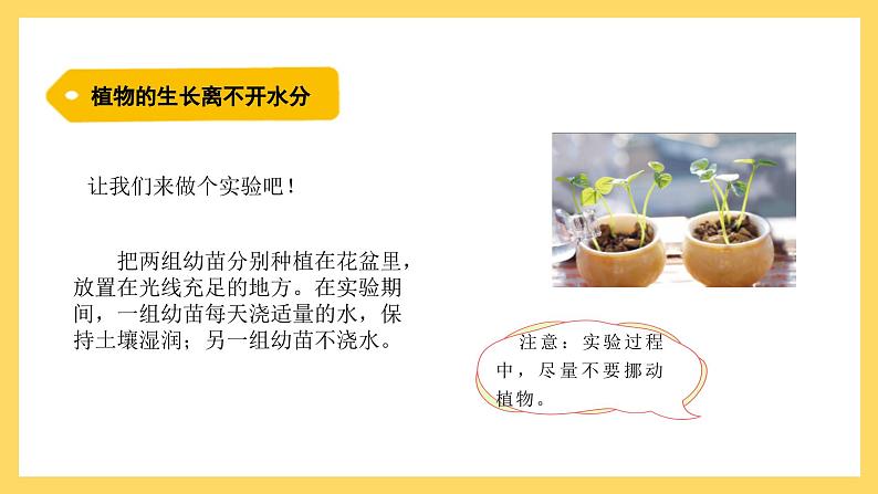 1.1 植物需要水分（课件）-2024-2025学年五年级上册科学粤教粤科版05