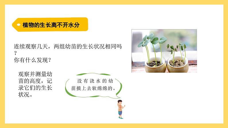 1.1 植物需要水分（课件）-2024-2025学年五年级上册科学粤教粤科版06