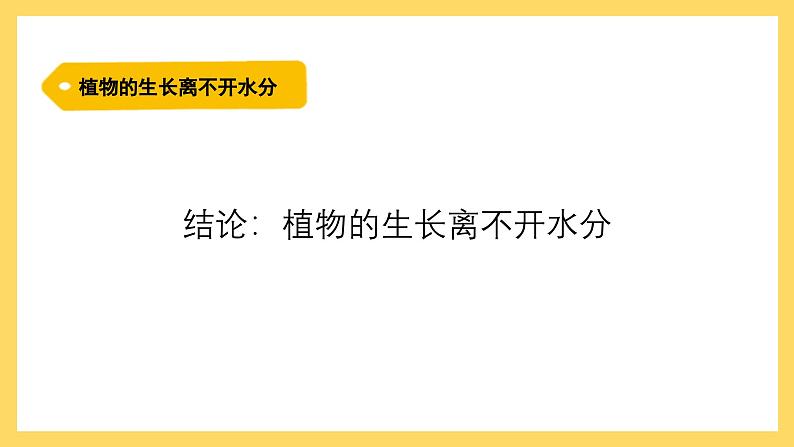 1.1 植物需要水分（课件）-2024-2025学年五年级上册科学粤教粤科版08