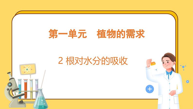 1.2 根对水分的吸收（课件）-2024-2025学年五年级上册科学粤教粤科版第1页