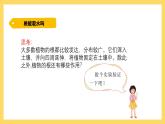 1.2 根对水分的吸收（课件）-2024-2025学年五年级上册科学粤教粤科版